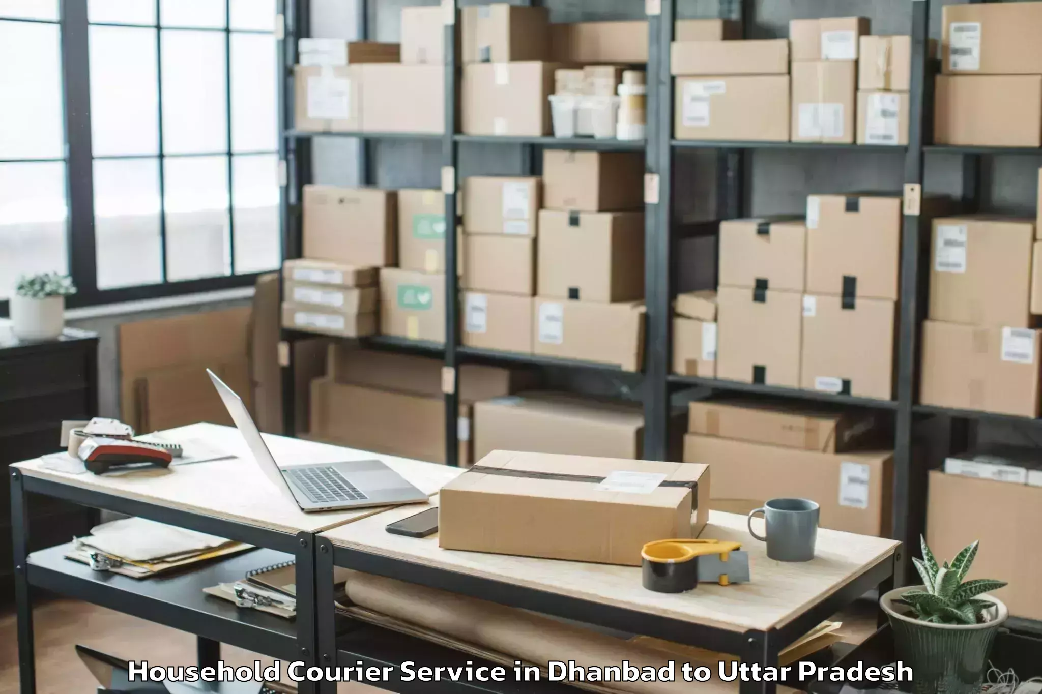 Easy Dhanbad to Ambuj Nagar Household Courier Booking